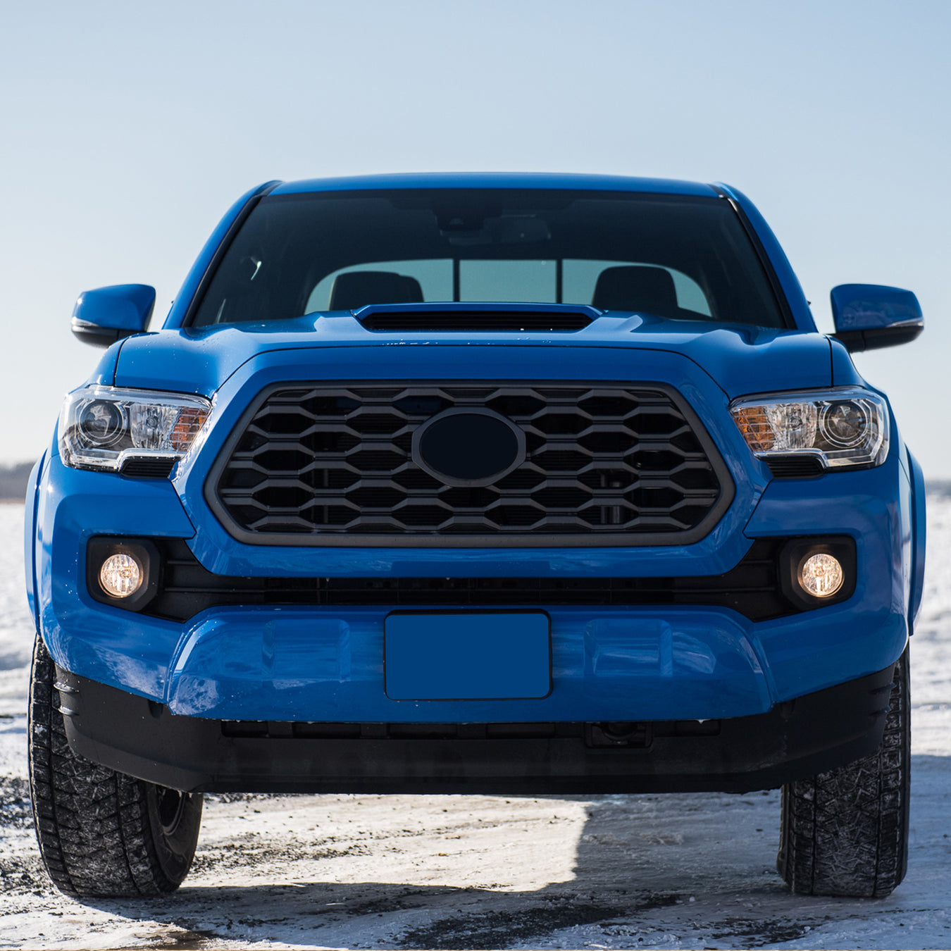 Tundra